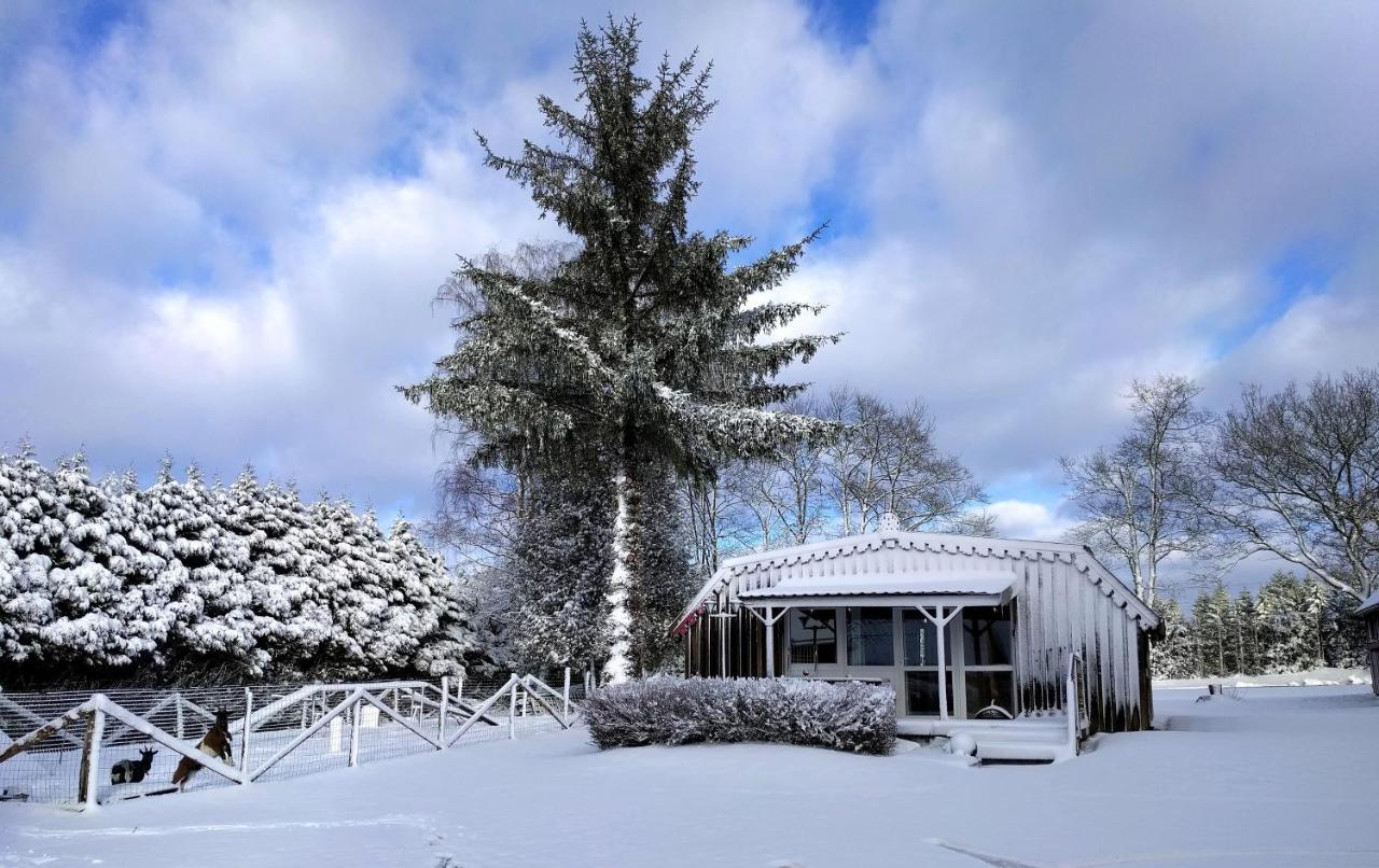 Chalets Des Trois Hetres Plombieres-les-Bains Exterior photo